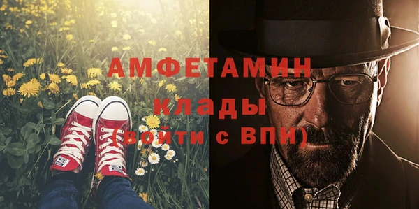 амф Аркадак