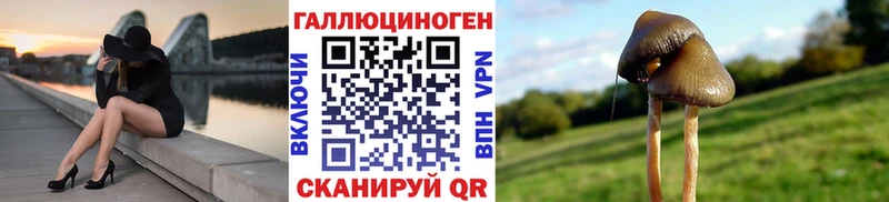 Псилоцибиновые грибы Psilocybine cubensis  закладка  Кувшиново 